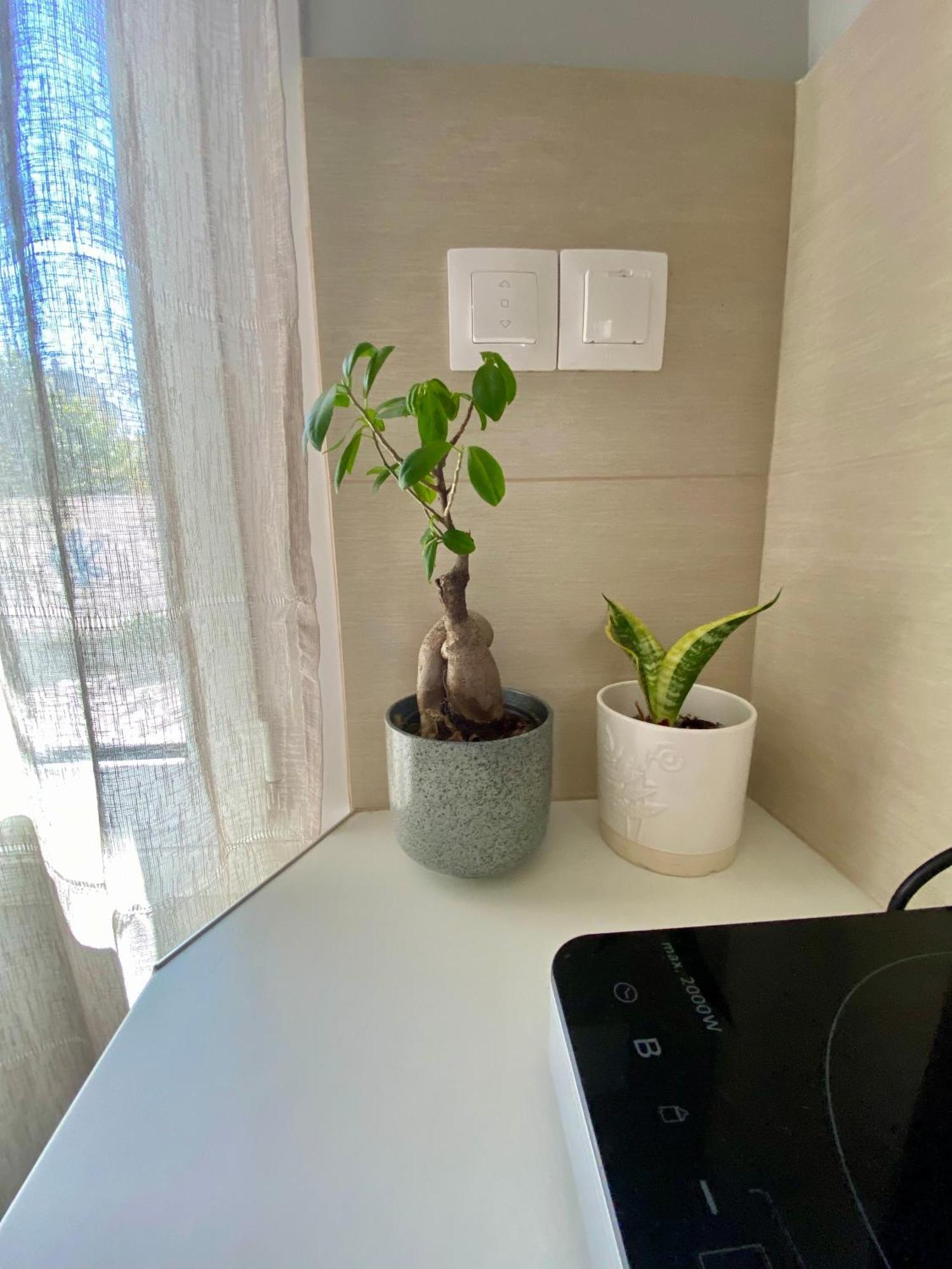 Xrysa'S Central City Apartment Missolonghi Экстерьер фото